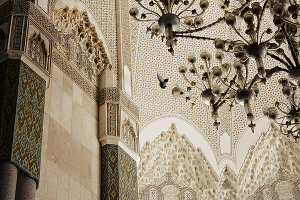 morocco mosque bird